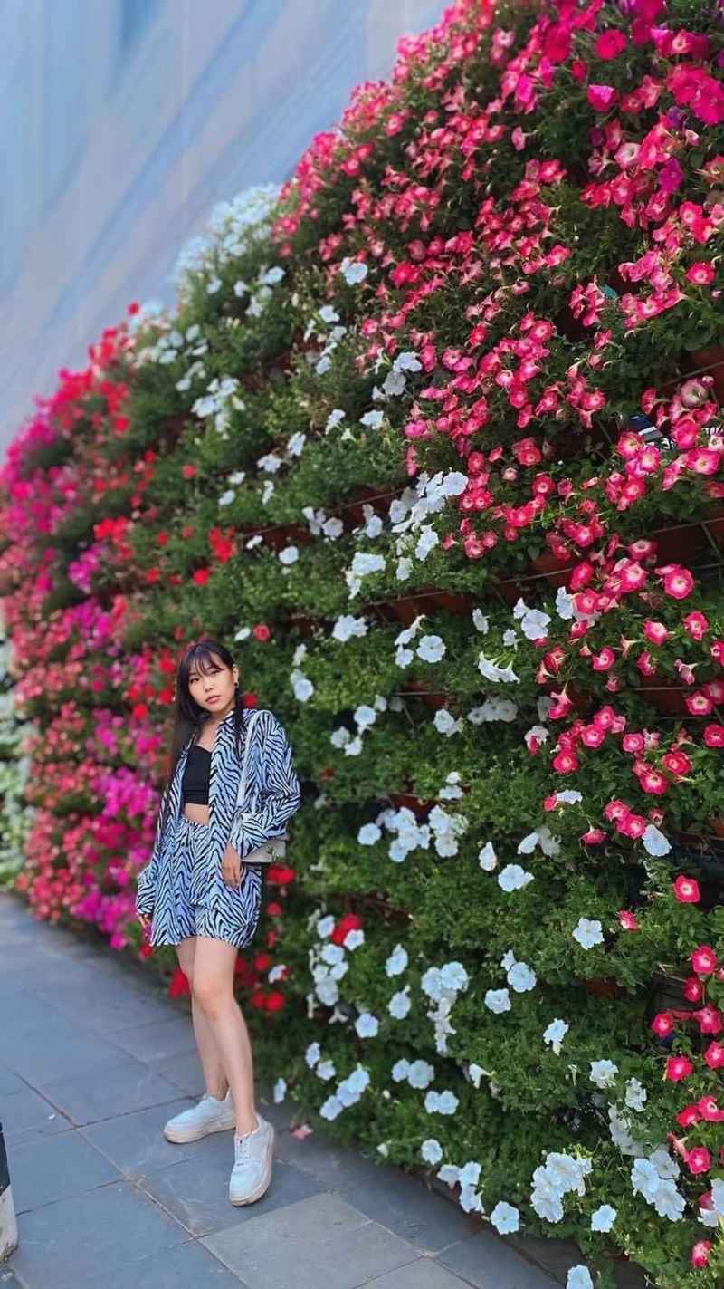Fanny - visiting