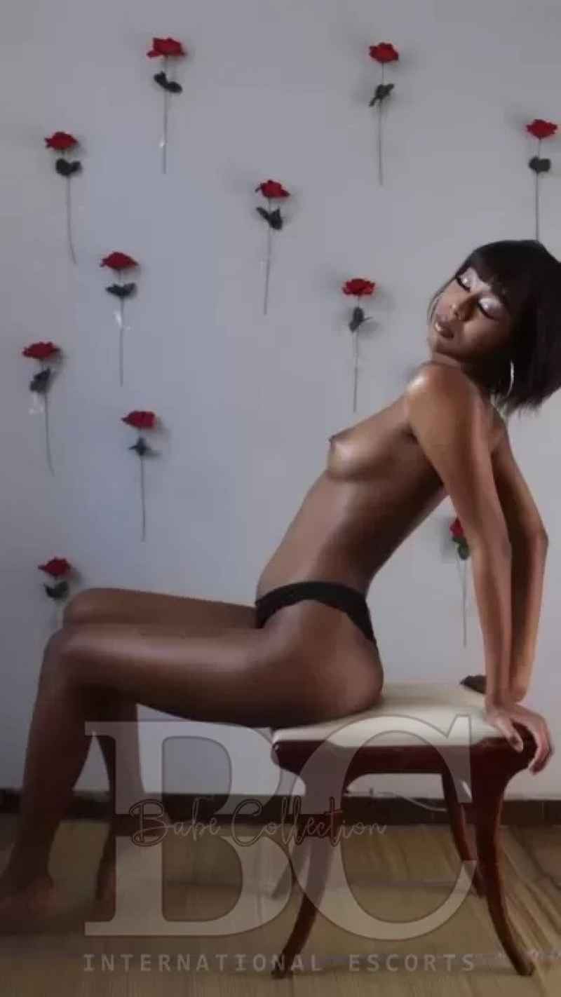Shannon - available now