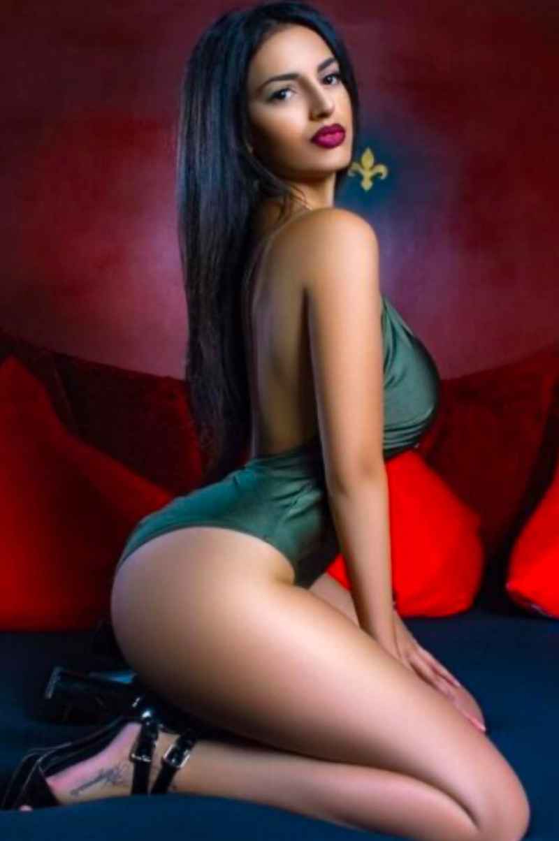 Valentine - independent companion